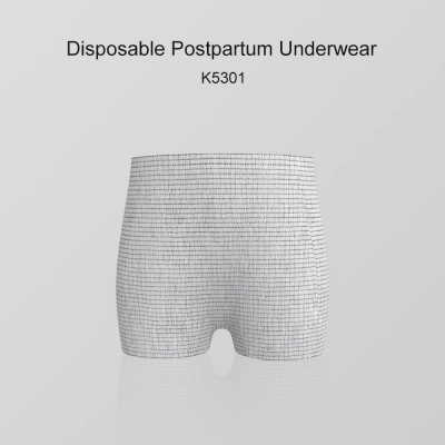 K5301 Disposable Postpartum Underwear